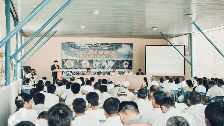 Sharýalar maqta zııankesterimen bıologııalyq tásil arqyly kúresýde