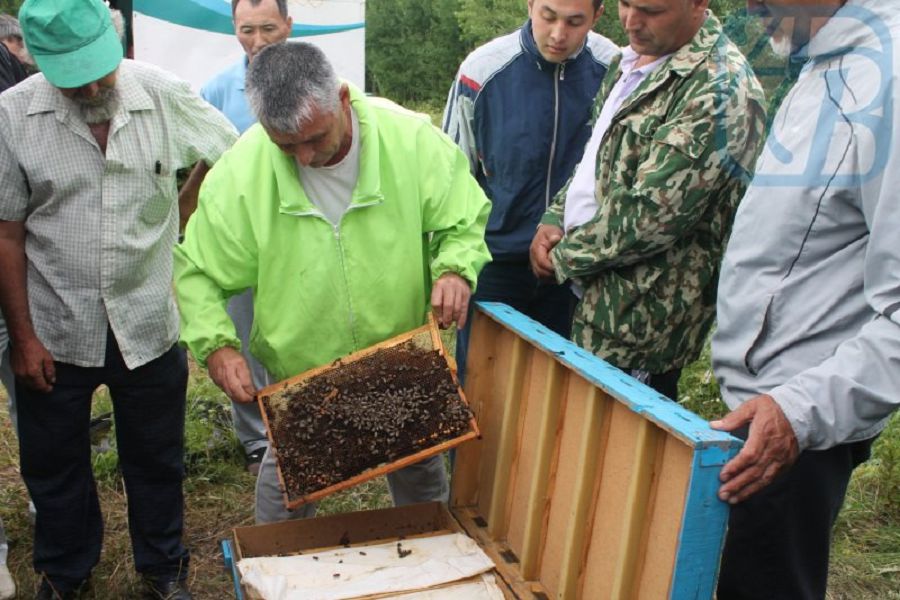 Bal ustaǵandarǵa da bap kerek