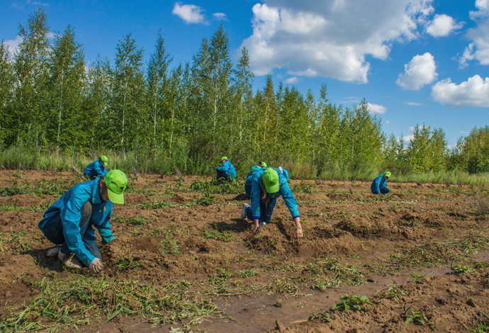 «Jasyl eldiń» jastary qazba jumystaryna qatysady