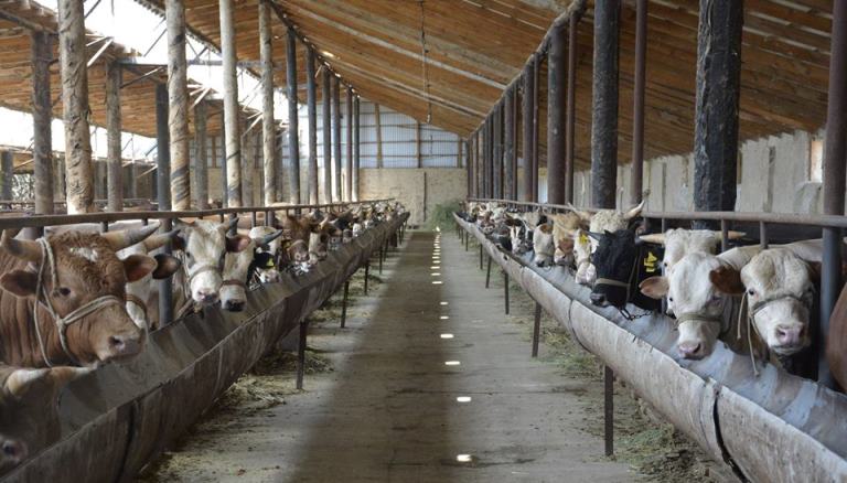 Ońtústikte 600-den astam kooperatıv qurylady