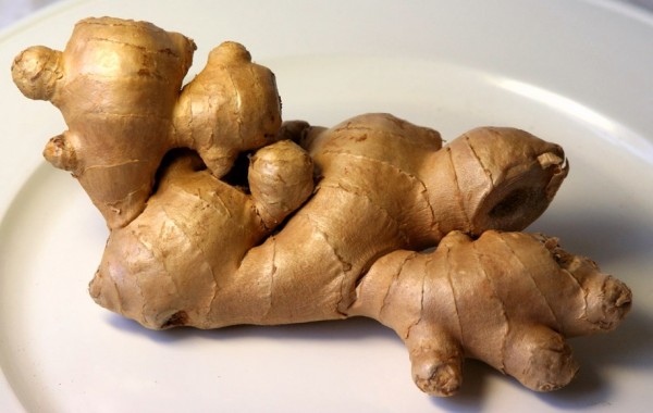 Atyraýdyń aýasyn topınambýr tazarta ala ma?