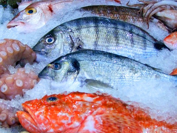 Qyzylorda oblysynda balyq eksporty úsh esege artty