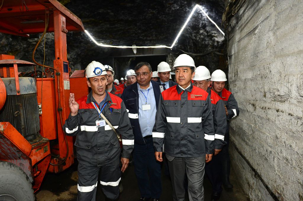 Syrdaǵy sony serpilis