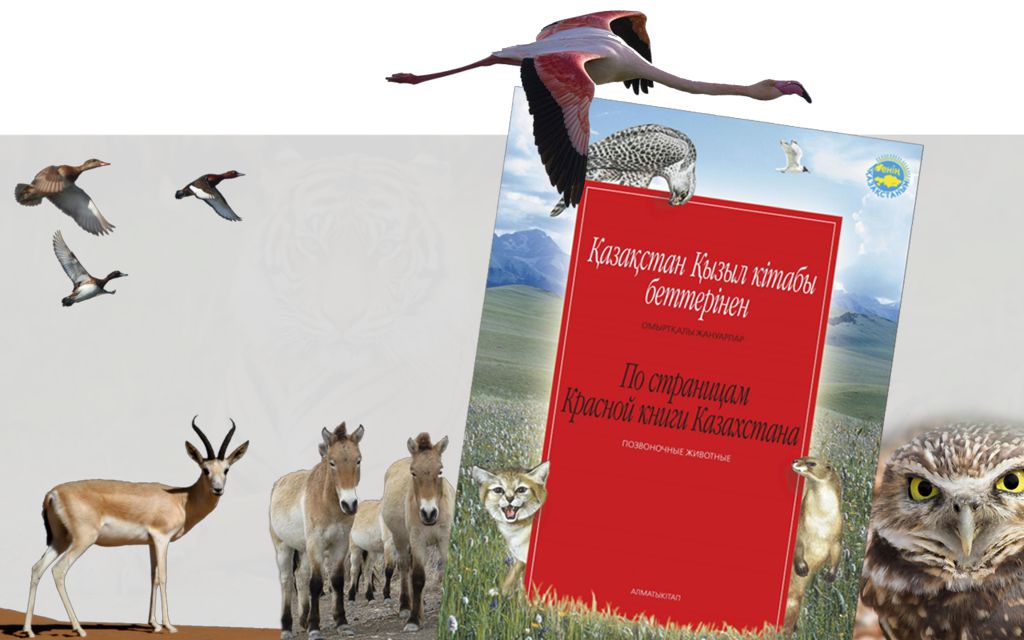 Qyzylordanyń «Qyzyl kitaby...»