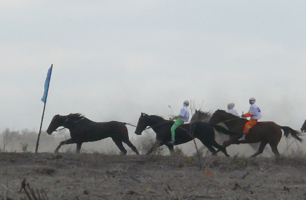 Shabandozy jyǵylǵan júırik