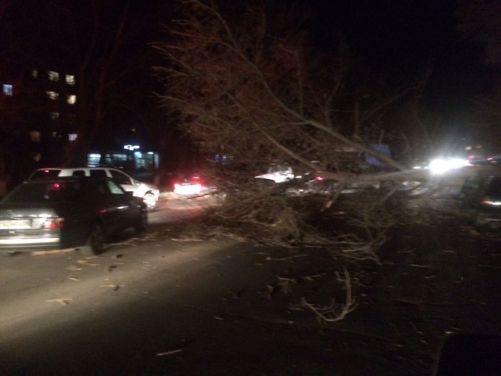 Máskeýdegi dúleı daýyl 4 adamdy mert qyldy