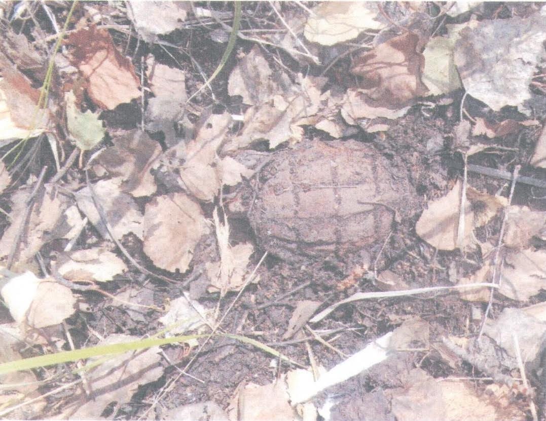 Soltústikqazaqstandyq turǵyn granata taýyp aldy