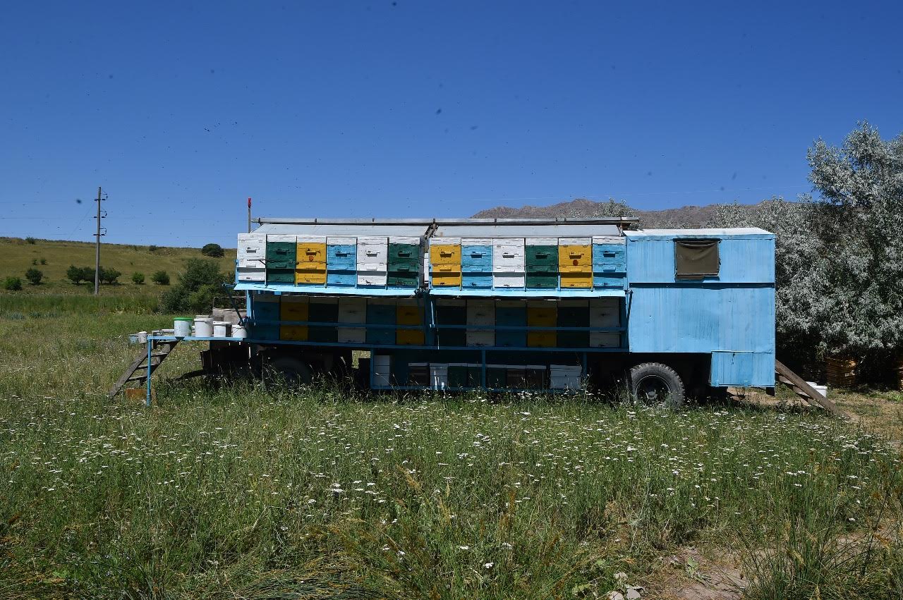 OQO-da omartashylar kooperatıvi qurylady