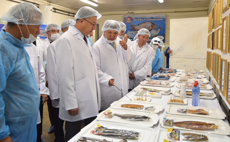 Shardarada jyl basynan beri 1300 tonna balyq ónimi óndirildi