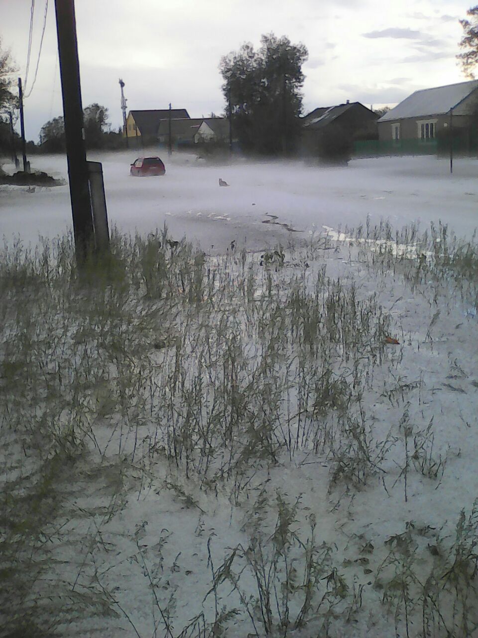 Batys Qazaqstan oblysynda shildede qar jaýdy