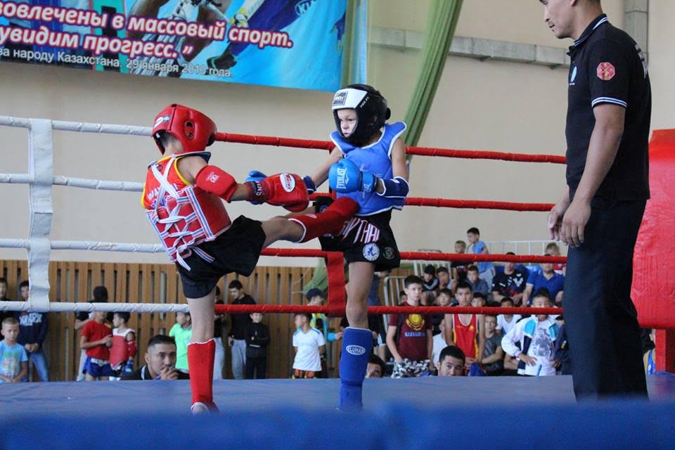 Petropavlda taı boksynan respýblıkalyq birinshilik ótti