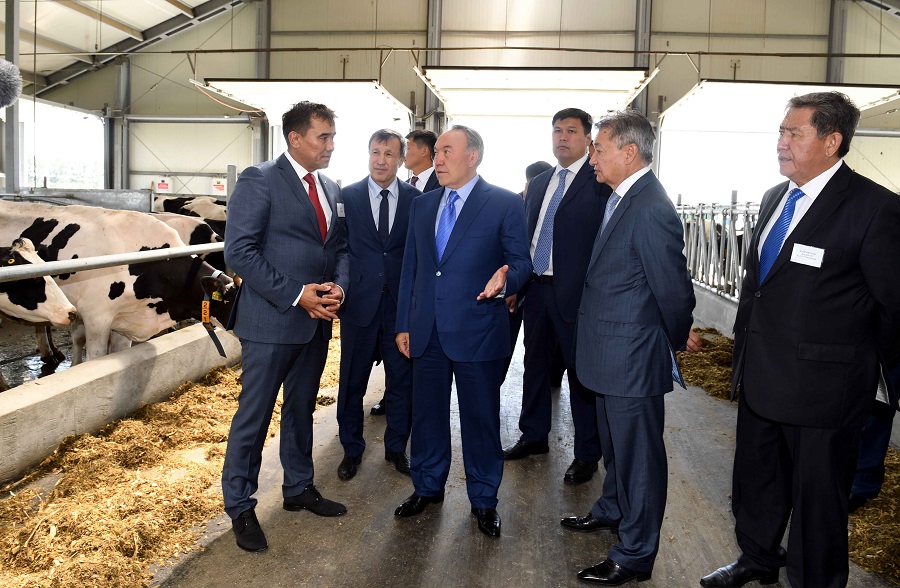 Elbasy «Maıly daqyldardyń tájirıbelik sharýashylyǵy» jaýapkershiligi shekteýli seriktestiginde boldy