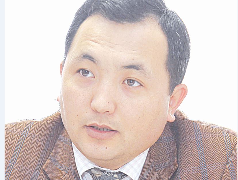 Kópvektorly saıasat – erekshe damý modeli