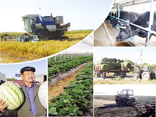 Aýylsharýashylyq kooperatıvteri qalaı qarjylandyrylady?