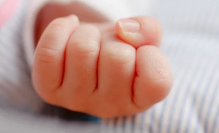 Bıyl Atyraýda 492 bala shala týǵan