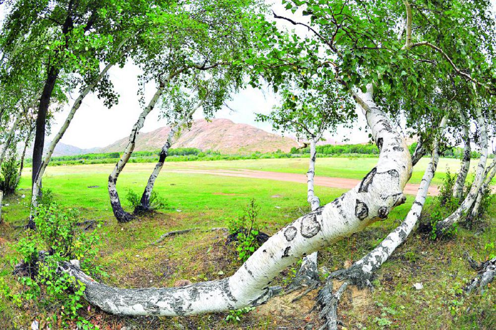 Ulytaýdaǵy ulaǵatty ister