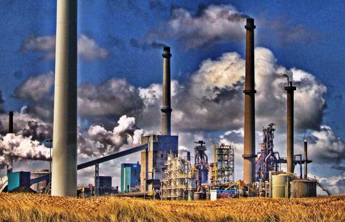 Petropavlda qorshaǵan ortany lastaıtyn 1848 kásiporyn bar