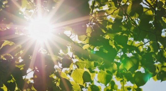 Aldaǵy kúnderi 41 gradýsqa deıin kún ysıdy