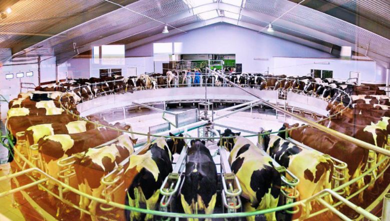 Saǵyntaev SQO-da aýyl sharýashylyǵy ónimderi óndirisindegi tehnologııalarmen tanysty