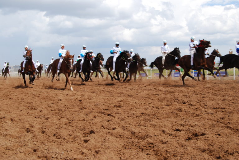 Astanada Báıge túrlerinen respýblıkalyq «EKSPO-2017» kýbogy ótti