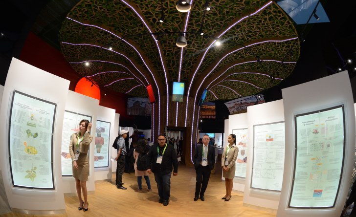 Sýtekti energııanyń paıdasy shash-etekten