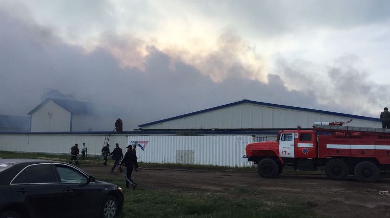 Soltústik Qazaqstanda 28 megejin men 95 toraı qyrylyp qaldy 