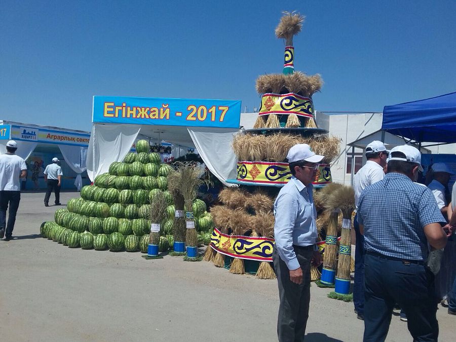 Jambyl oblysynda eginjaı kúni ótti