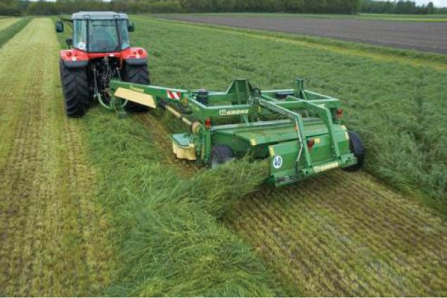 Qazaq – qashanda qazaq! (24.07.2017)