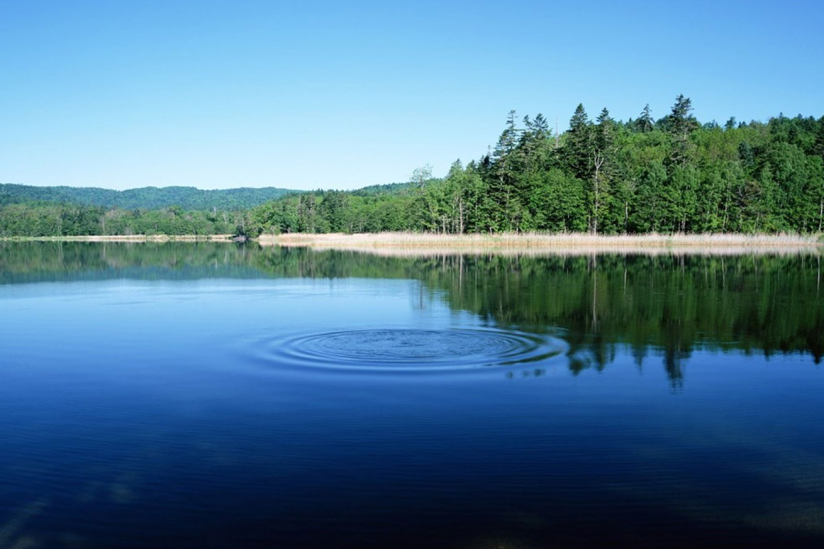 Jan jabyrqatqan jaılar, kóńil kúrsindirgen kórinister