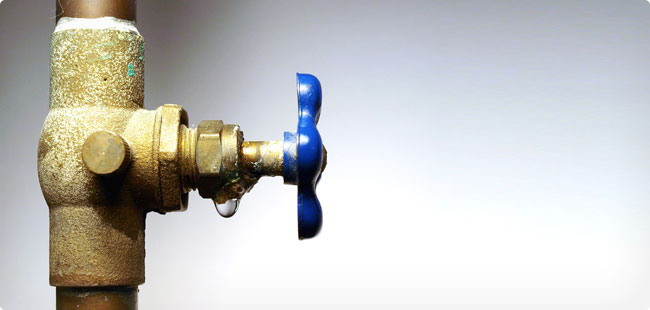 Sýdyń suraýy sýbsıdııada ma?