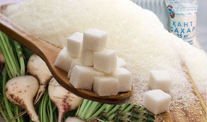 Almaty oblysynda sharýa qojalyqtary men óńdeýshi kásiporyndar arasynda tyǵyz baılanys ornatylady