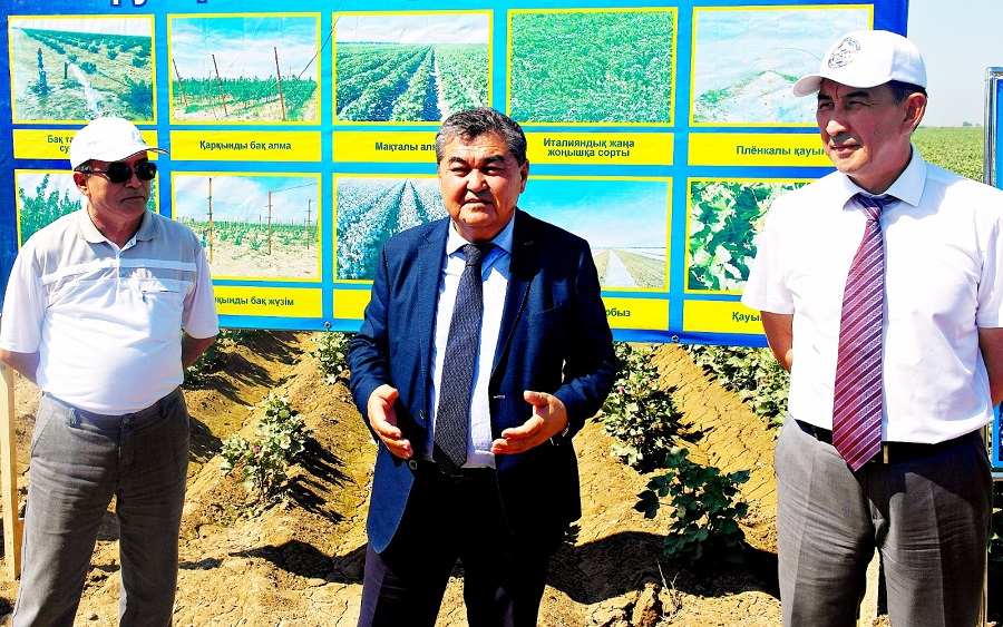 Myrzashóldik maqtashylar maqta ósirýde tyń tásilderdi qoldana bastady