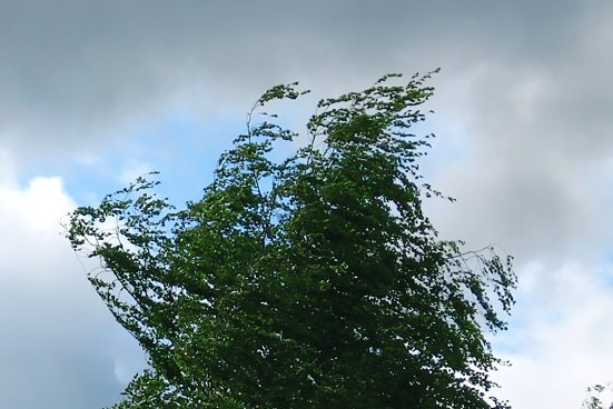 29 shildede soltústik pen shyǵysta jel kúsheıedi, ońtústik pen batysta - aptap ystyq