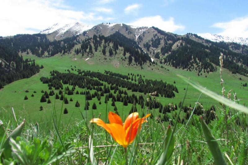 Ile Alataýy ulttyq parkine barýǵa shekteý qoıyldy