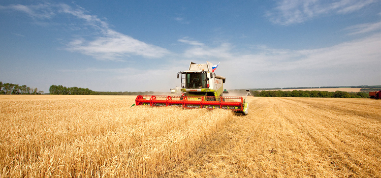 Aýyl sharýashylyǵy eksportqa den qoıdy 