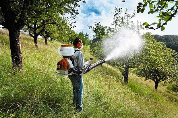 Astanada masamen kúres jumystary jalǵasýda