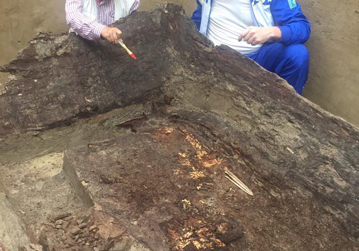 Bereldegi qorǵannan tabylǵan adam aqsúıekter áýletinen shyqqan