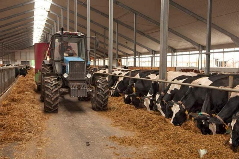 Qazaqstanda 517 aýyl sharýashylyǵy kooperatıvi tirkeldi