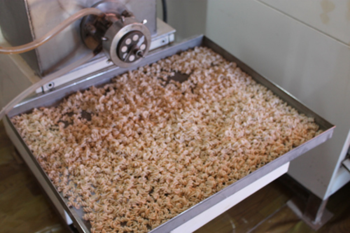 Aýyldaǵy makaron sehy