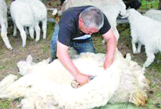 Qazaq – qashanda qazaq! (07.08.2017)