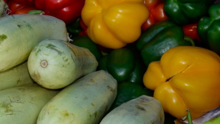 Astanada Qostanaı oblysynyń aýyl sharýashylyq jərmeńkesi ótti