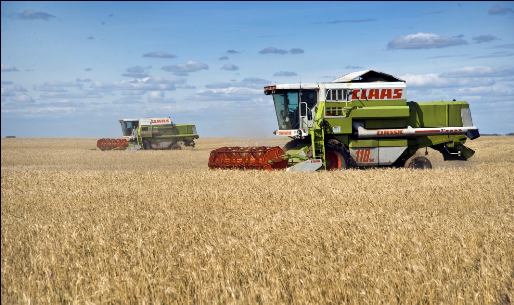 Pavlodarda «China-Kazakhstan Modern Agricultural Company» JShS kásiporyn salynady