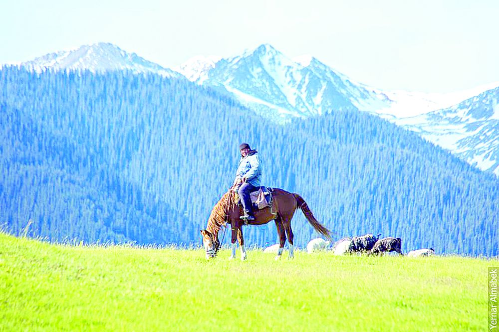 Jastar mal baǵýdan nege qashady?