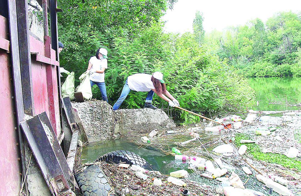 Sana tazarmaı, dala tazarmaıdy