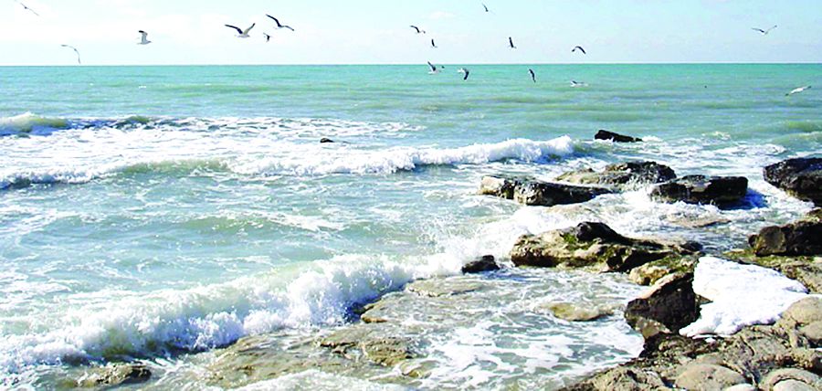 Kósh kólikti bolsyn