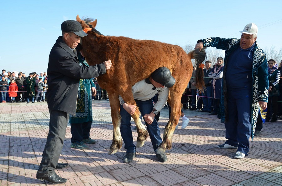 Pavlodarda «Uly dala eli» festıvali kezinde at sporty jarystary ótedi