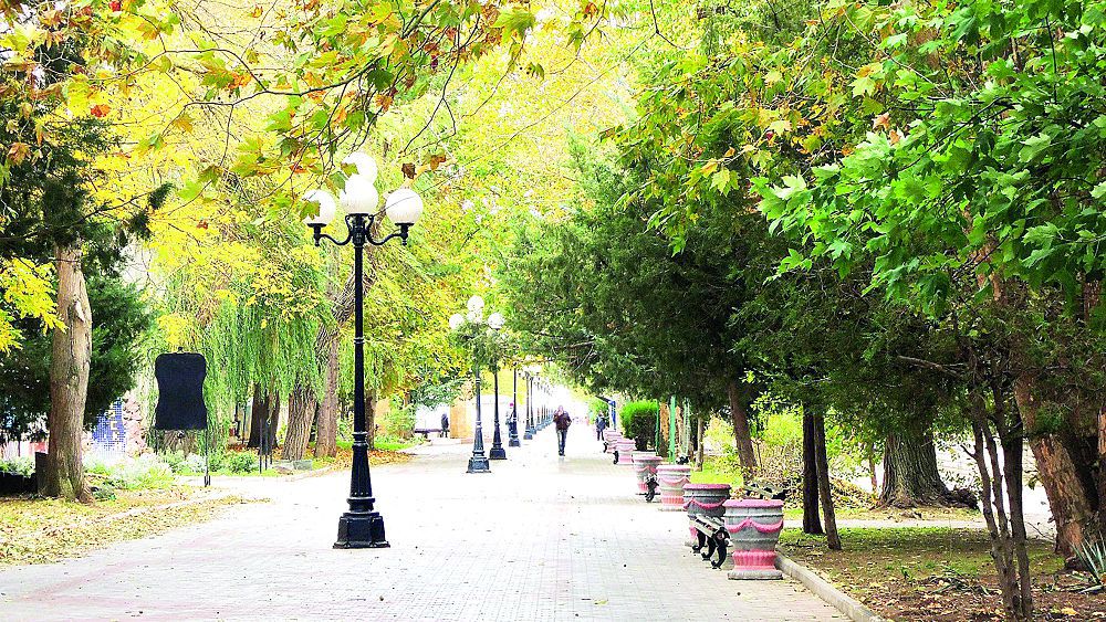 Aǵash qandalalarynan qaýip zor