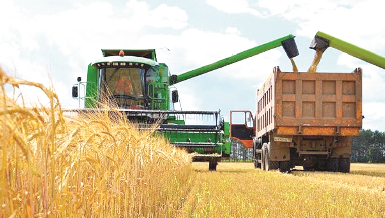 Soltústikte maıly jáne burshaq tuqym­das da­qyl­dardyń alqaby 30 paıyzǵa ulǵaıdy