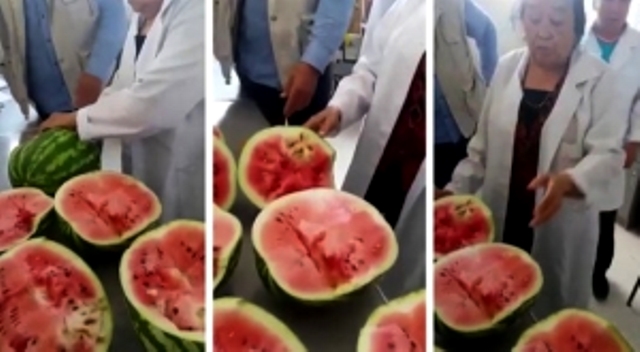 Shýly vıdeodan keıin Astanada 35 tonna shirigen qarbyz joıyldy (vıdeo)
