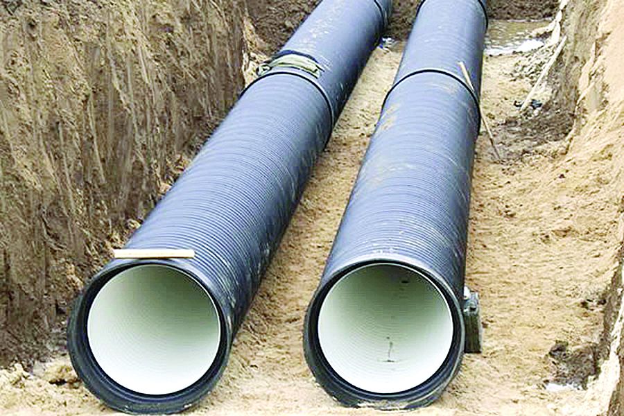 Jańa sý jelisi salynady